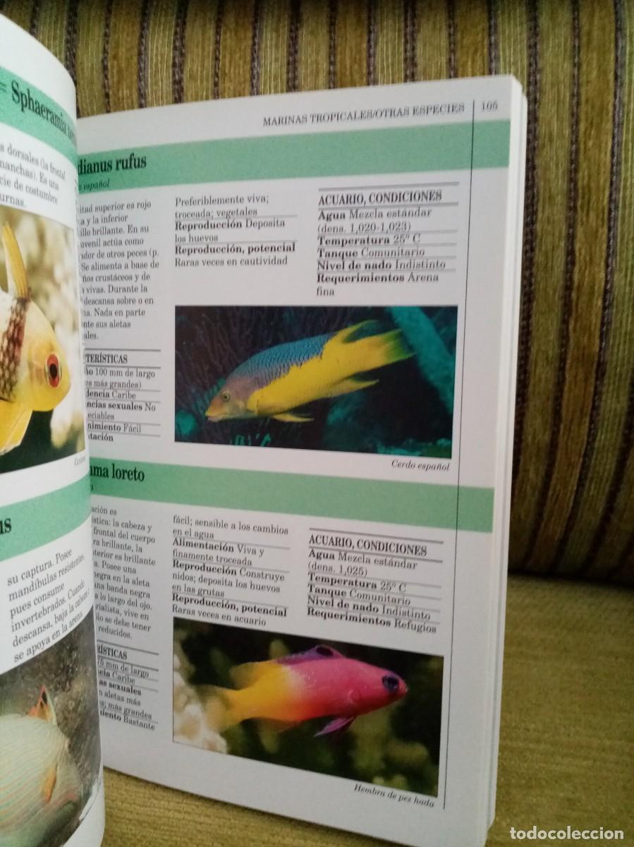 Libros de segunda mano: GU&Iacute;A DEL ACUARIO manual completo - Foto 12