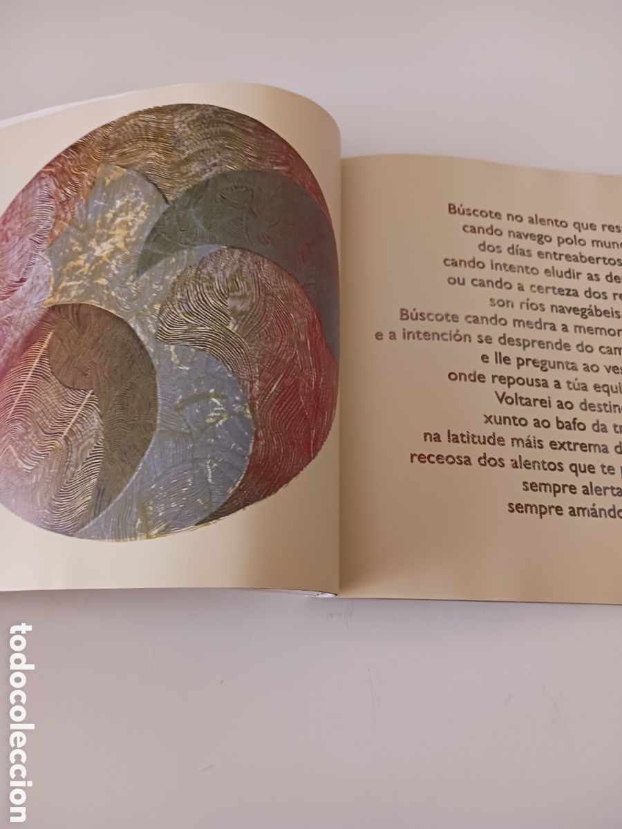 Libros de segunda mano: Atm&oacute;sferas, Olga Pati&ntilde;o, Jos&eacute; Valent&iacute;n, 2007 - Foto 4