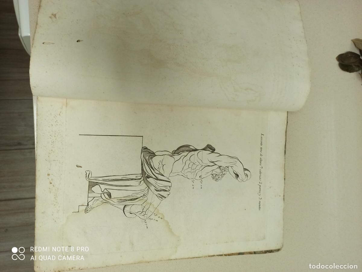 Libros de segunda mano: Libro Las proporciones del cuerpo humano - Foto 4