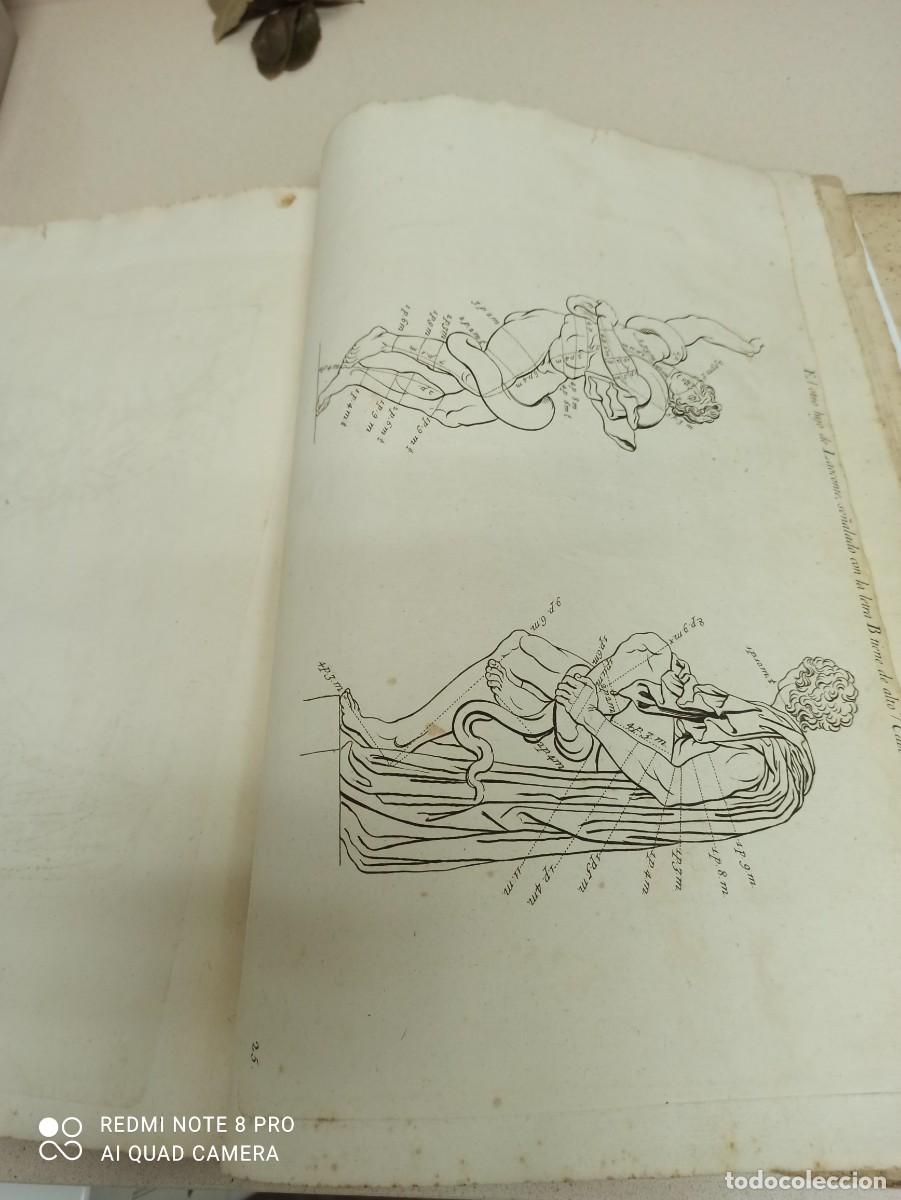 Libros de segunda mano: Libro Las proporciones del cuerpo humano - Foto 26