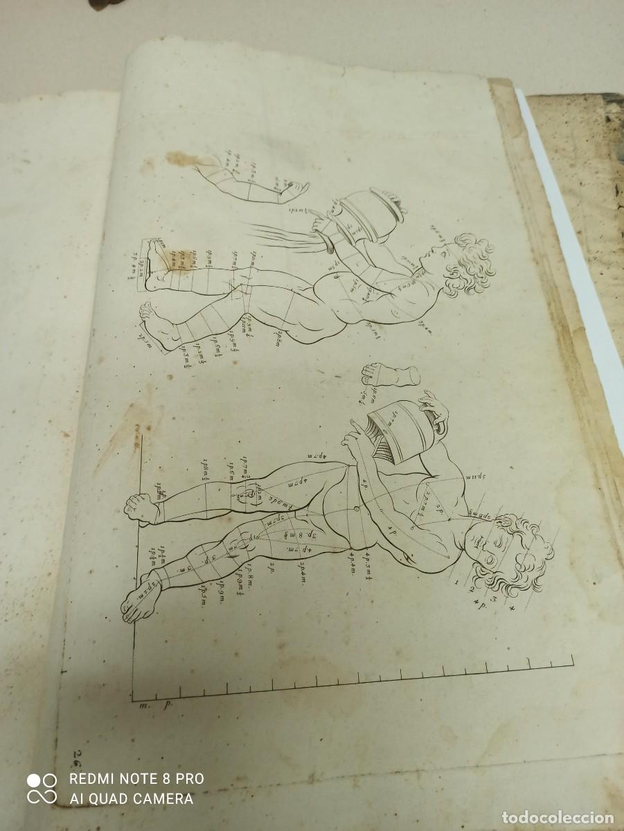 Libros de segunda mano: Libro Las proporciones del cuerpo humano - Foto 27