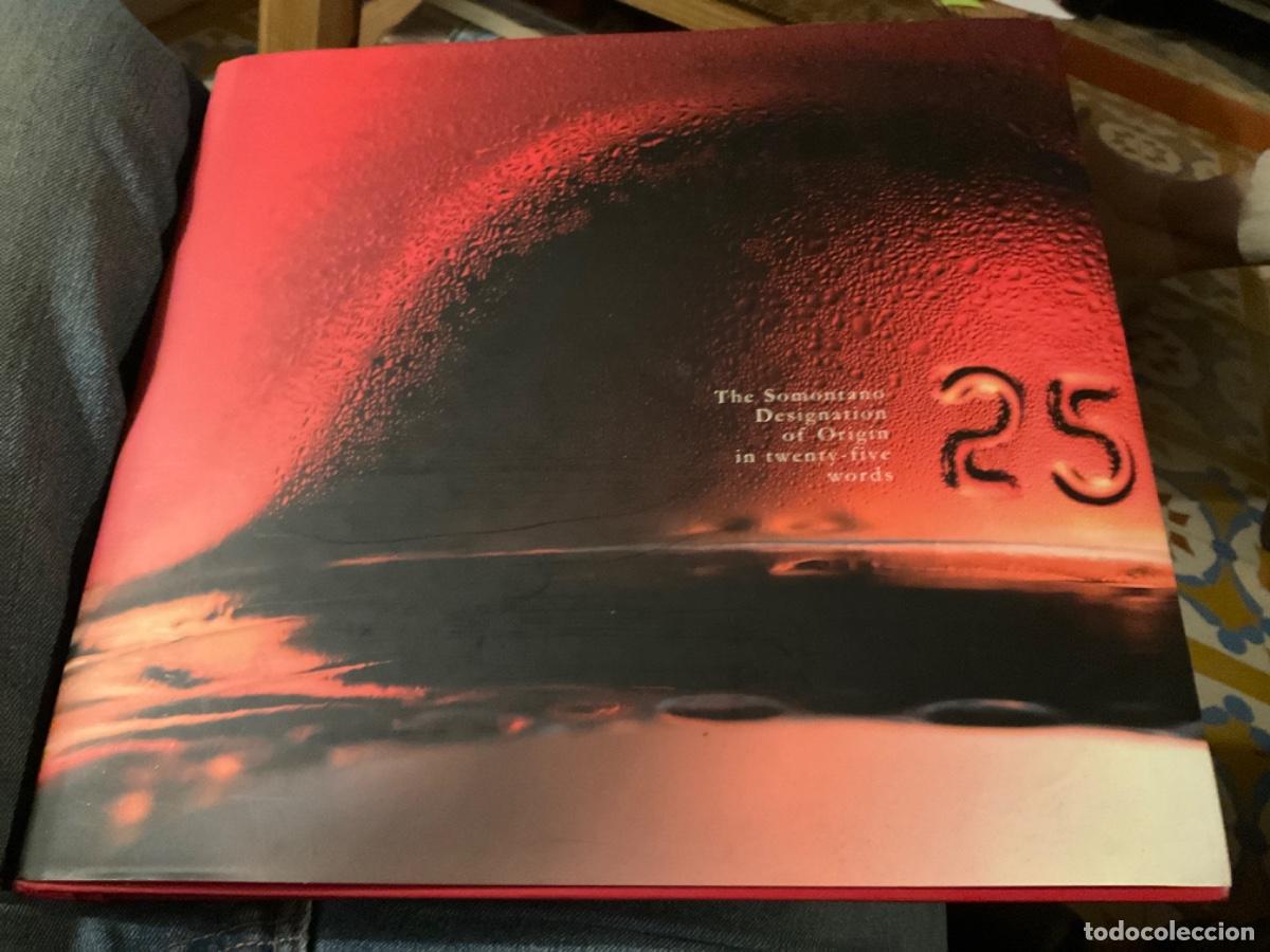 Gebrauchte B&uuml;cher: The somontano designation of origin in twenty five words fotografia en ingles