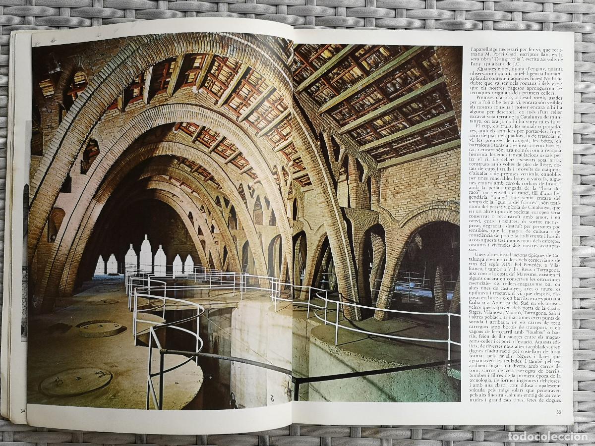 Libros de segunda mano: LIBRO - ELS VINS DE CATALUNYA - JAUME CIURANA - Foto 4