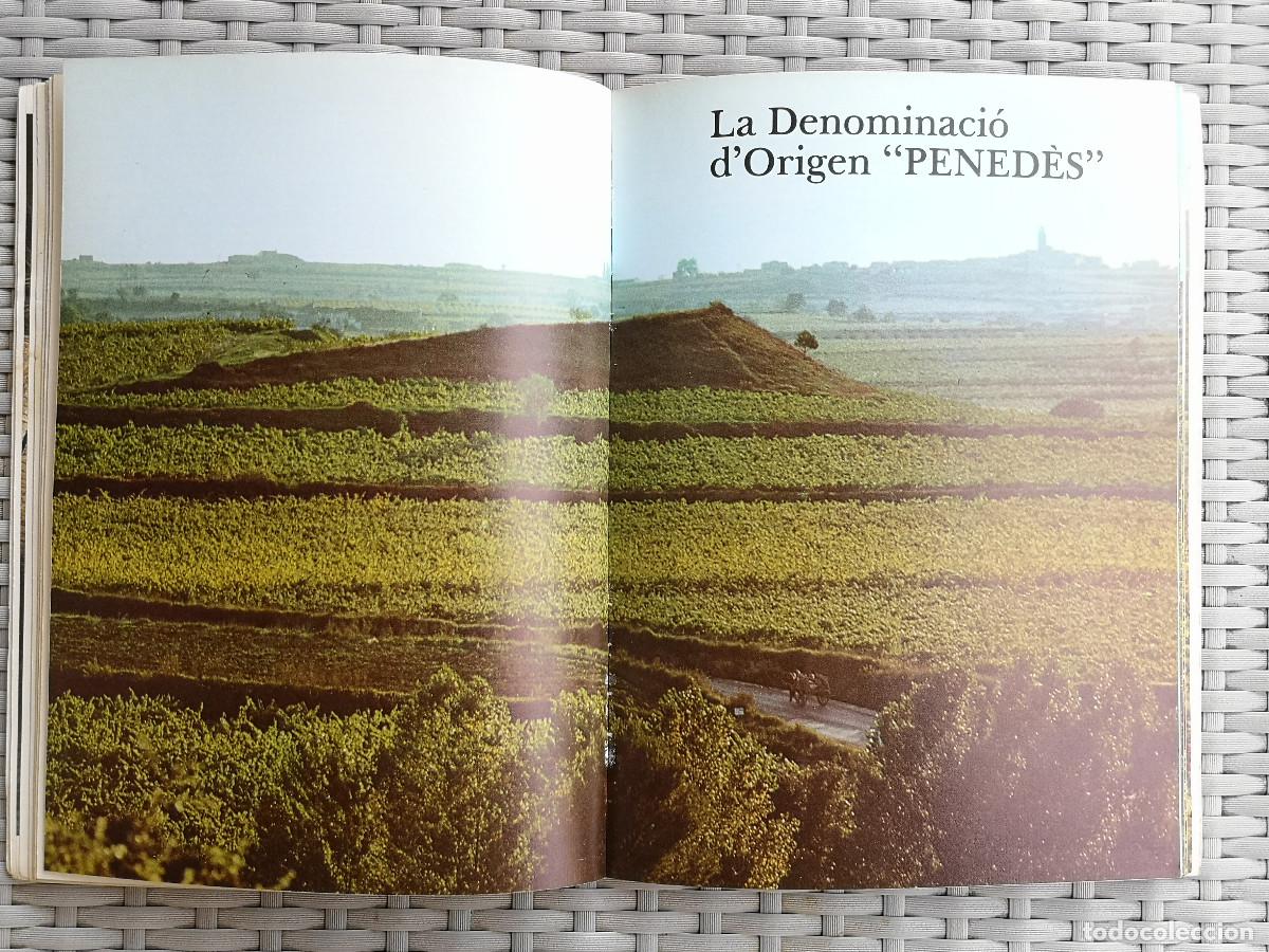 Libros de segunda mano: LIBRO - ELS VINS DE CATALUNYA - JAUME CIURANA - Foto 5