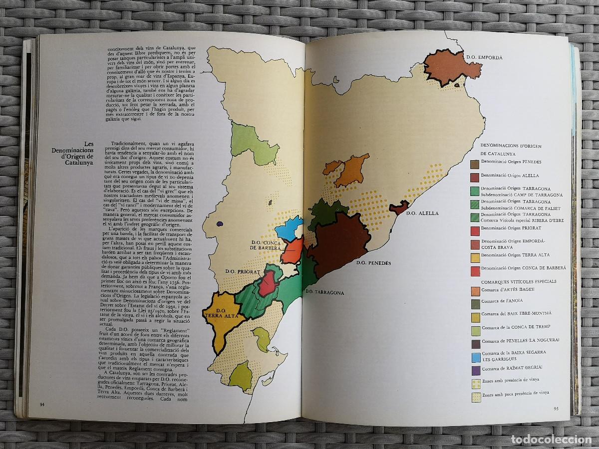 Libros de segunda mano: LIBRO - ELS VINS DE CATALUNYA - JAUME CIURANA - Foto 6