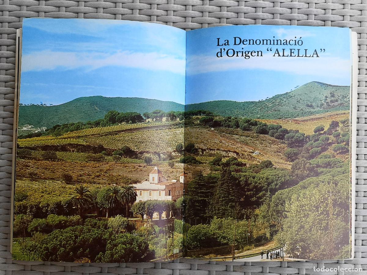 Libros de segunda mano: LIBRO - ELS VINS DE CATALUNYA - JAUME CIURANA - Foto 7