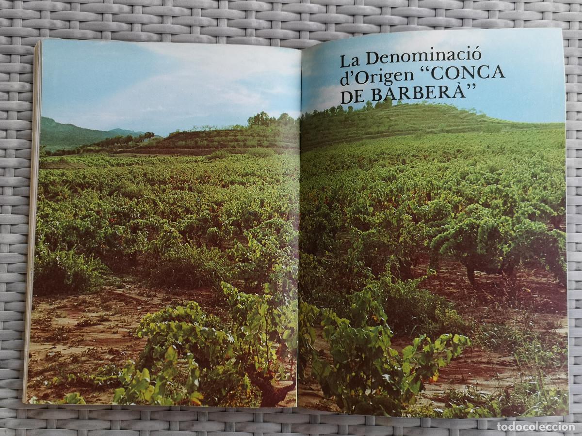 Libros de segunda mano: LIBRO - ELS VINS DE CATALUNYA - JAUME CIURANA - Foto 10