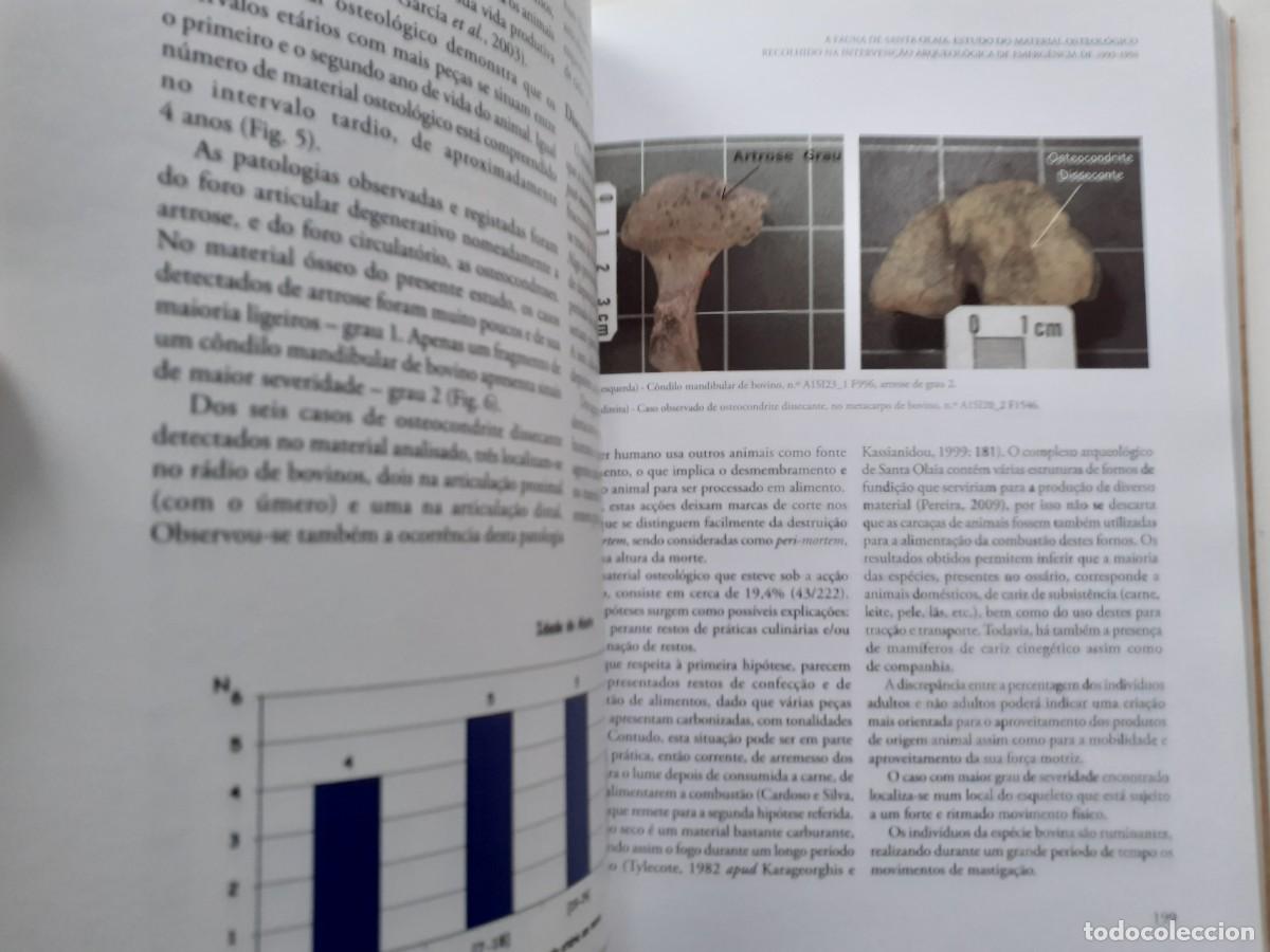 Libros de segunda mano: SANTOS ROCHA - ARQUEOLOG&Iacute;A E TERRITORIOS DA FIGUEIRA DA FOZ - Foto 8