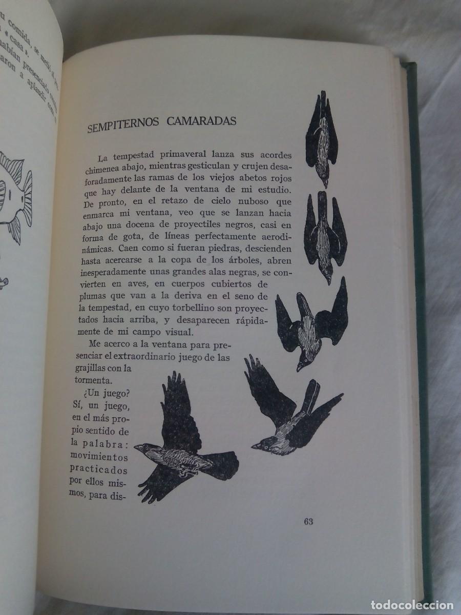 Libros de segunda mano: EL ANILLO DEL REY SALOM&Oacute;N / KONRAD LORENZ - Foto 5