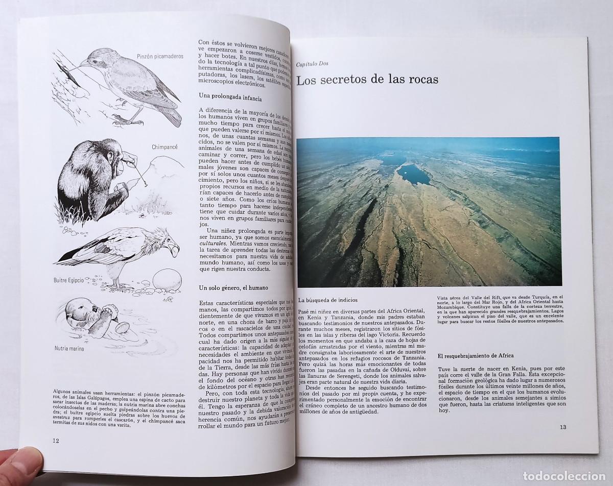 Libros de segunda mano: ORIGENES DEL HOMBRE. RICHARD E. LEAKEY. COMO NUEVO!!! - Foto 3