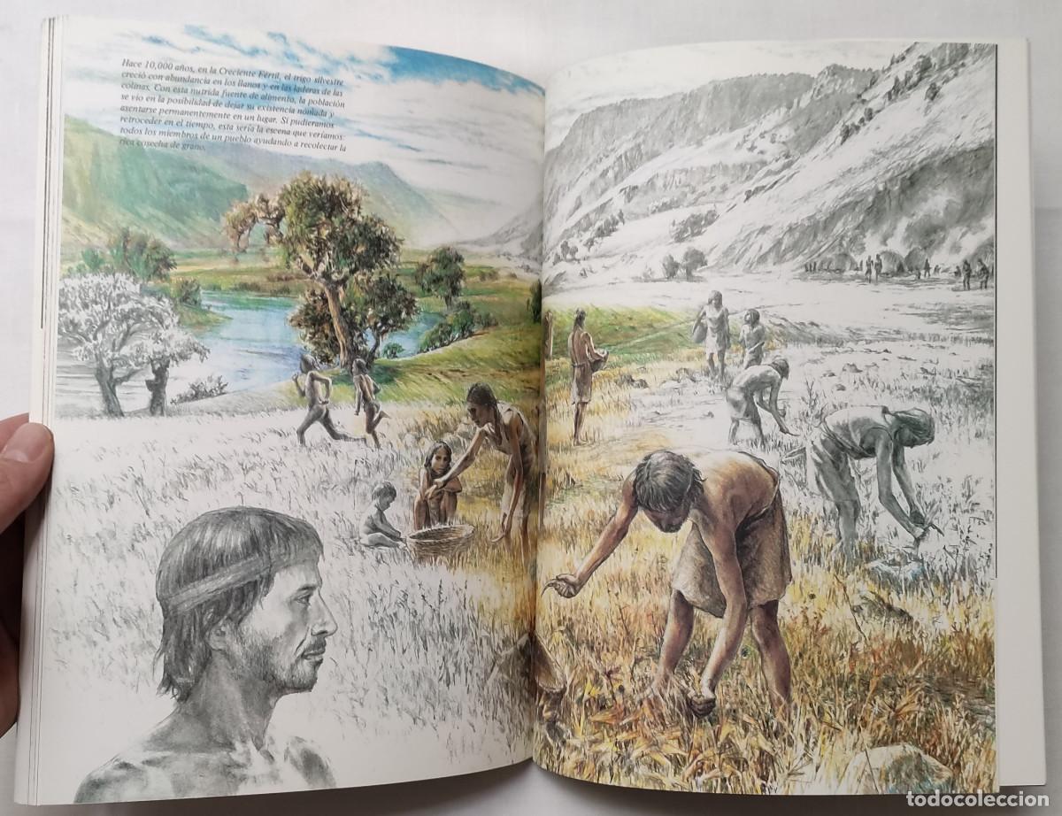 Libros de segunda mano: ORIGENES DEL HOMBRE. RICHARD E. LEAKEY. COMO NUEVO!!! - Foto 5