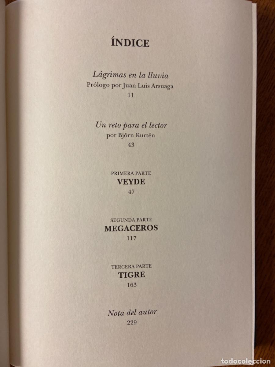 Libros de segunda mano: LA DANZA DEL TIGRE. KURT&Eacute;N, BK&Ouml;RN. PLOT, MADRID. 2001 - Foto 3