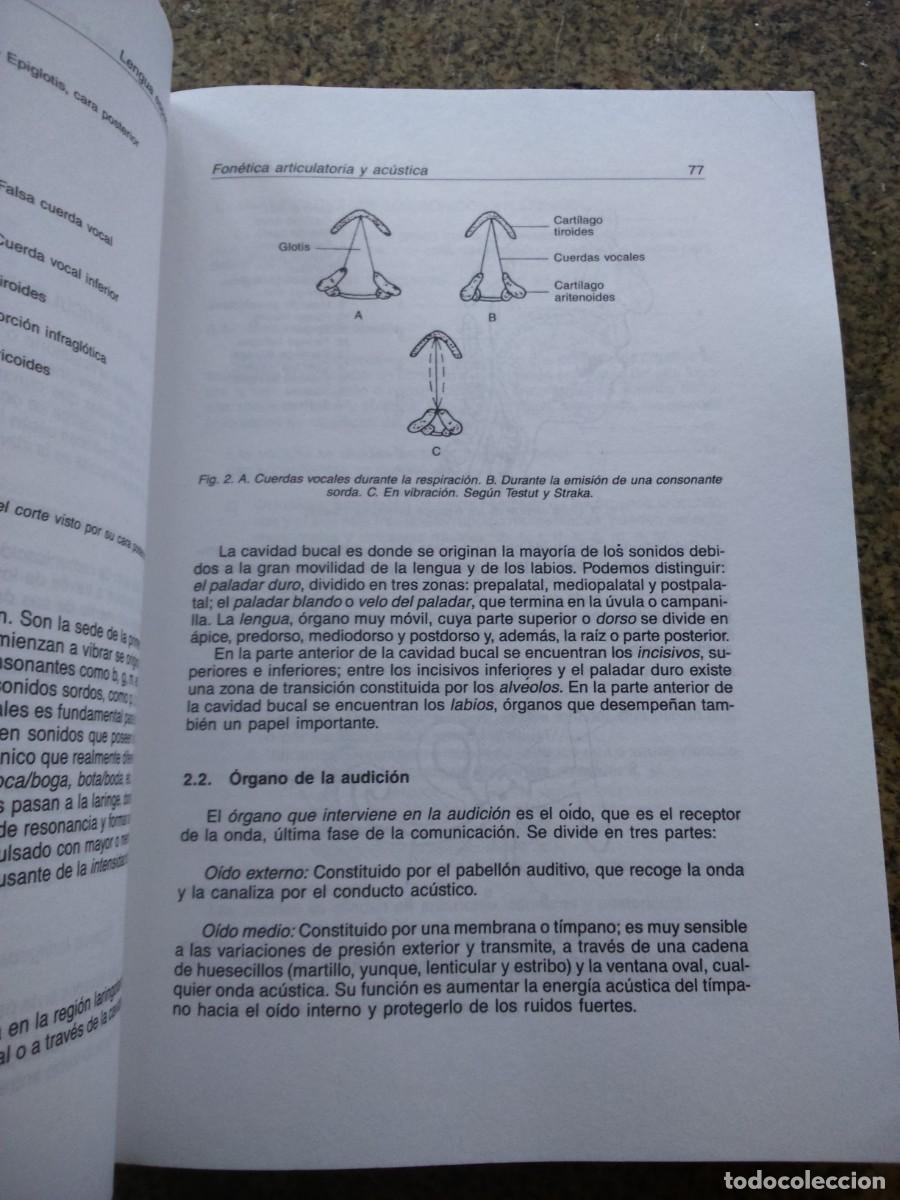 Libros de segunda mano: LENGUA ESPA&Ntilde;OLA -- CURSO DE ACCESO -- 1991 -- - Foto 2