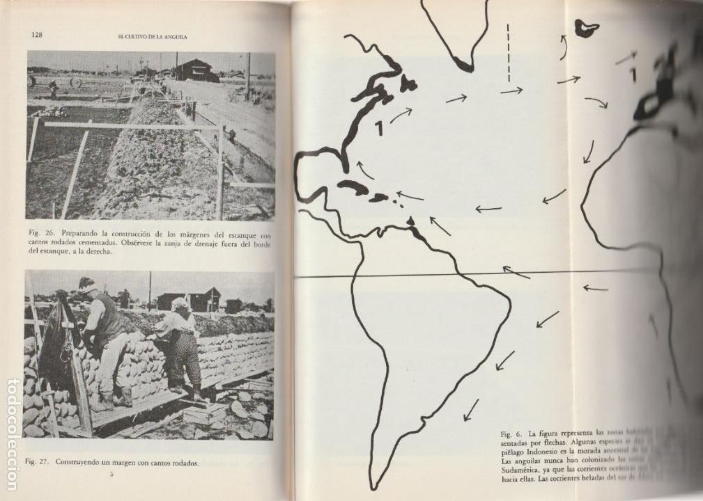 Libros de segunda mano: Valencia, ciudad abierta / Jos&eacute; Ombuena - Foto 2