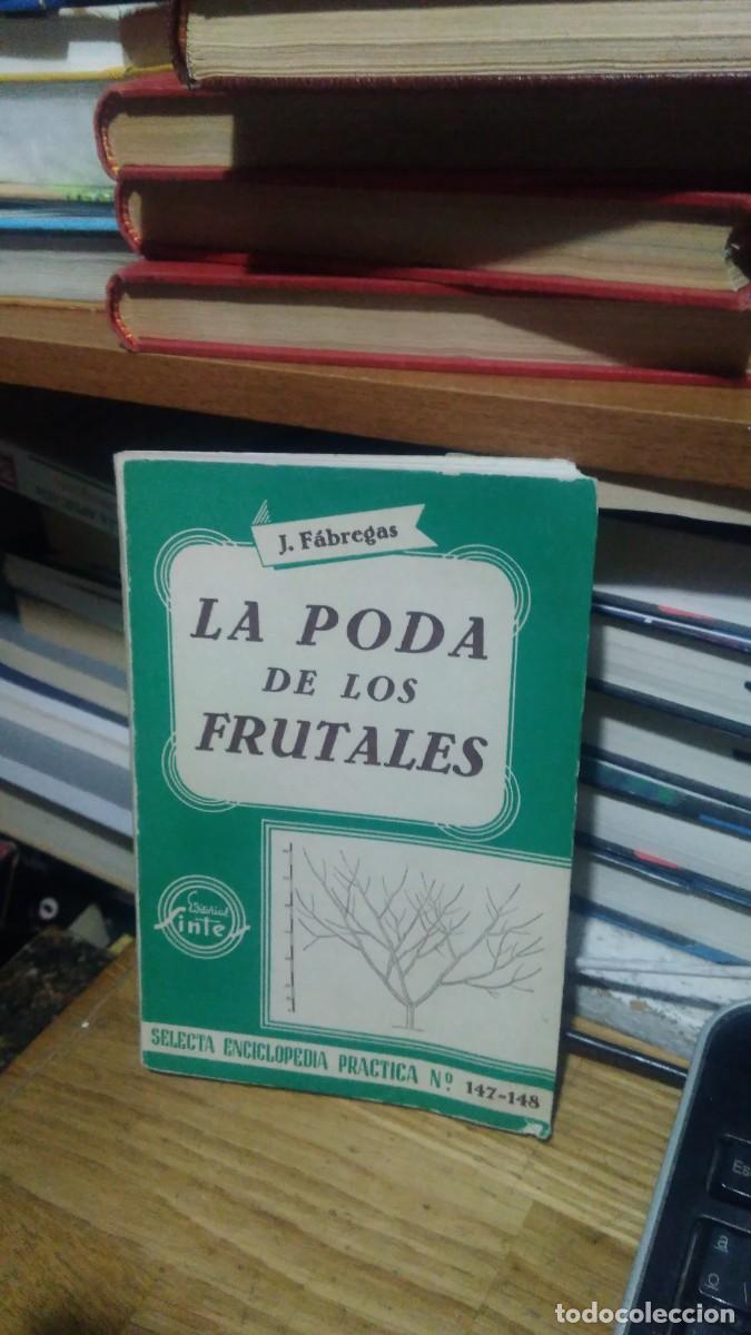 Libros de segunda mano: LA APODA DE LOS FRUTALES, J. F&Aacute;BREGAS, ED. SINTES - Foto 1