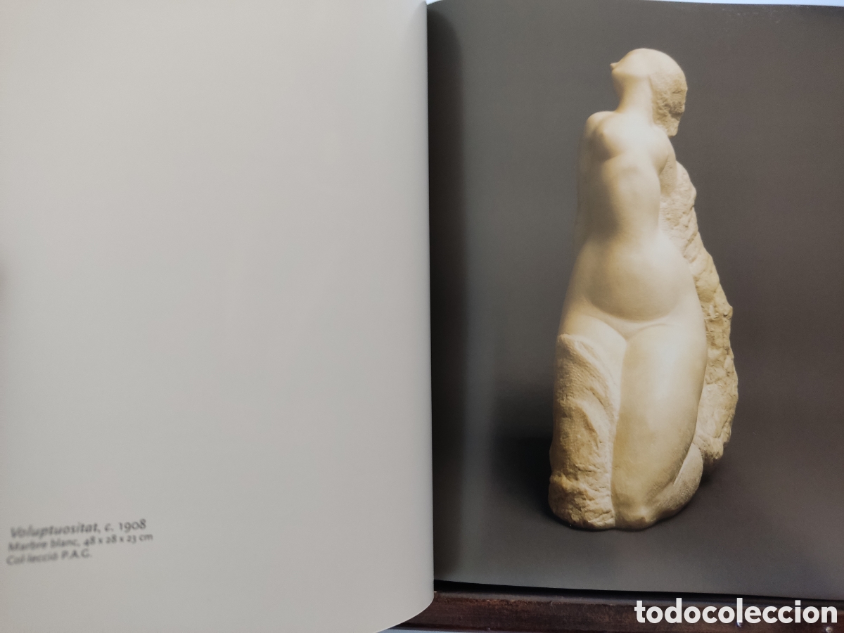 Libros de segunda mano: (CATAL&Aacute;) Gargallo/ Cat&aacute;logo Fundaci&oacute; Caixa Catalunya, 2007 - Foto 8