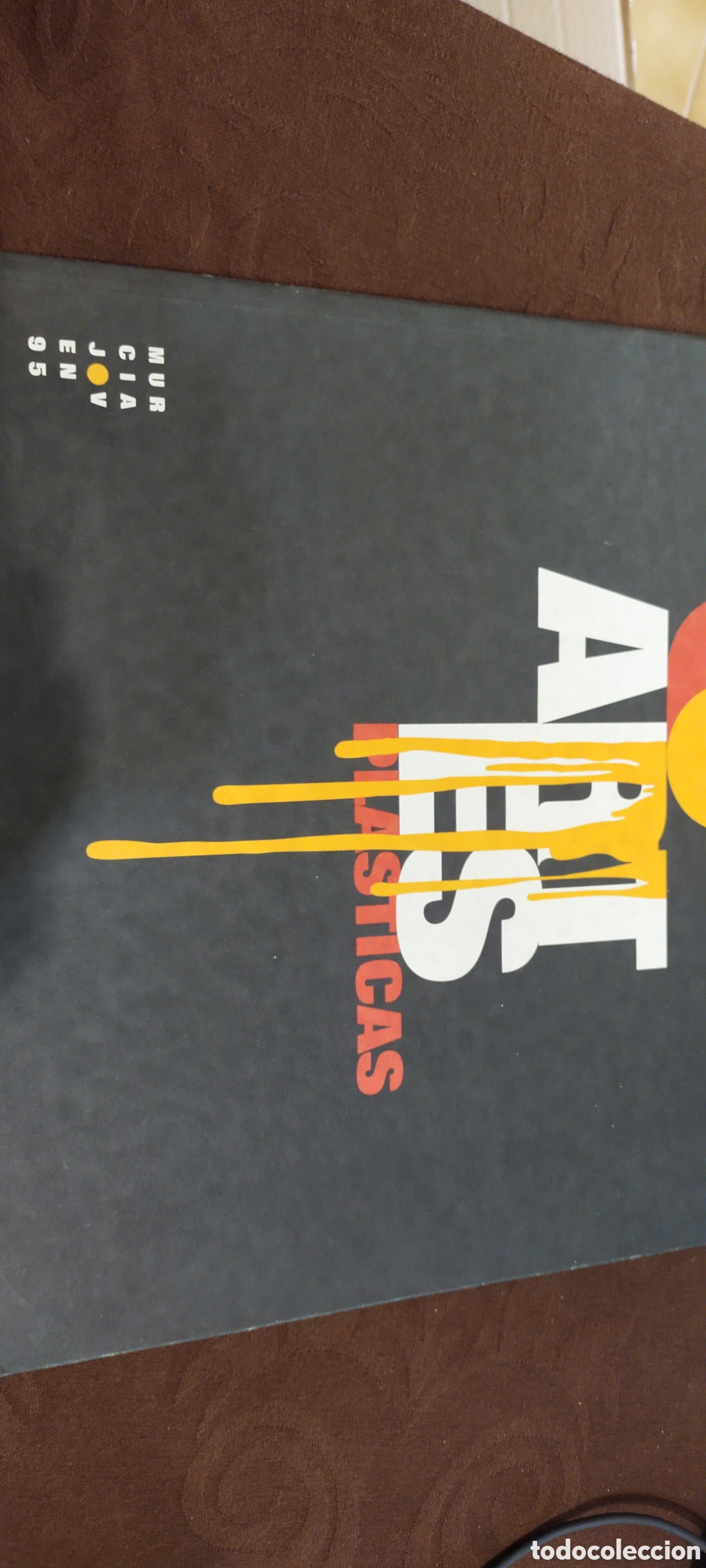 Libros de segunda mano: Artes pl&aacute;sticas Murcia joven 95 - Foto 1