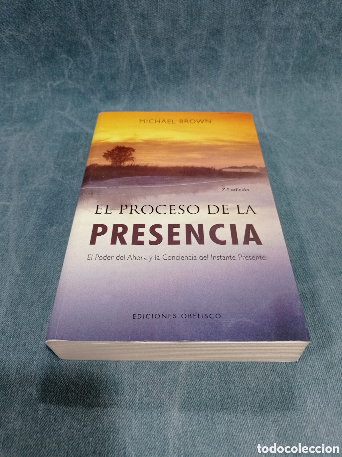 Libros de segunda mano: EL PROCESO DE LA PRESENCIA - MICHAEL BROWN - ED. OBELISCO - Foto 2