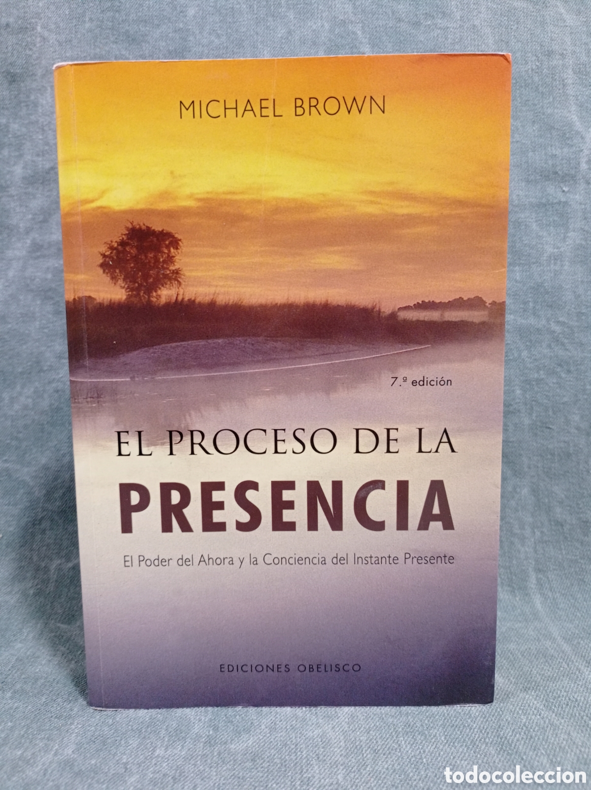 Libros de segunda mano: EL PROCESO DE LA PRESENCIA - MICHAEL BROWN - ED. OBELISCO - Foto 1