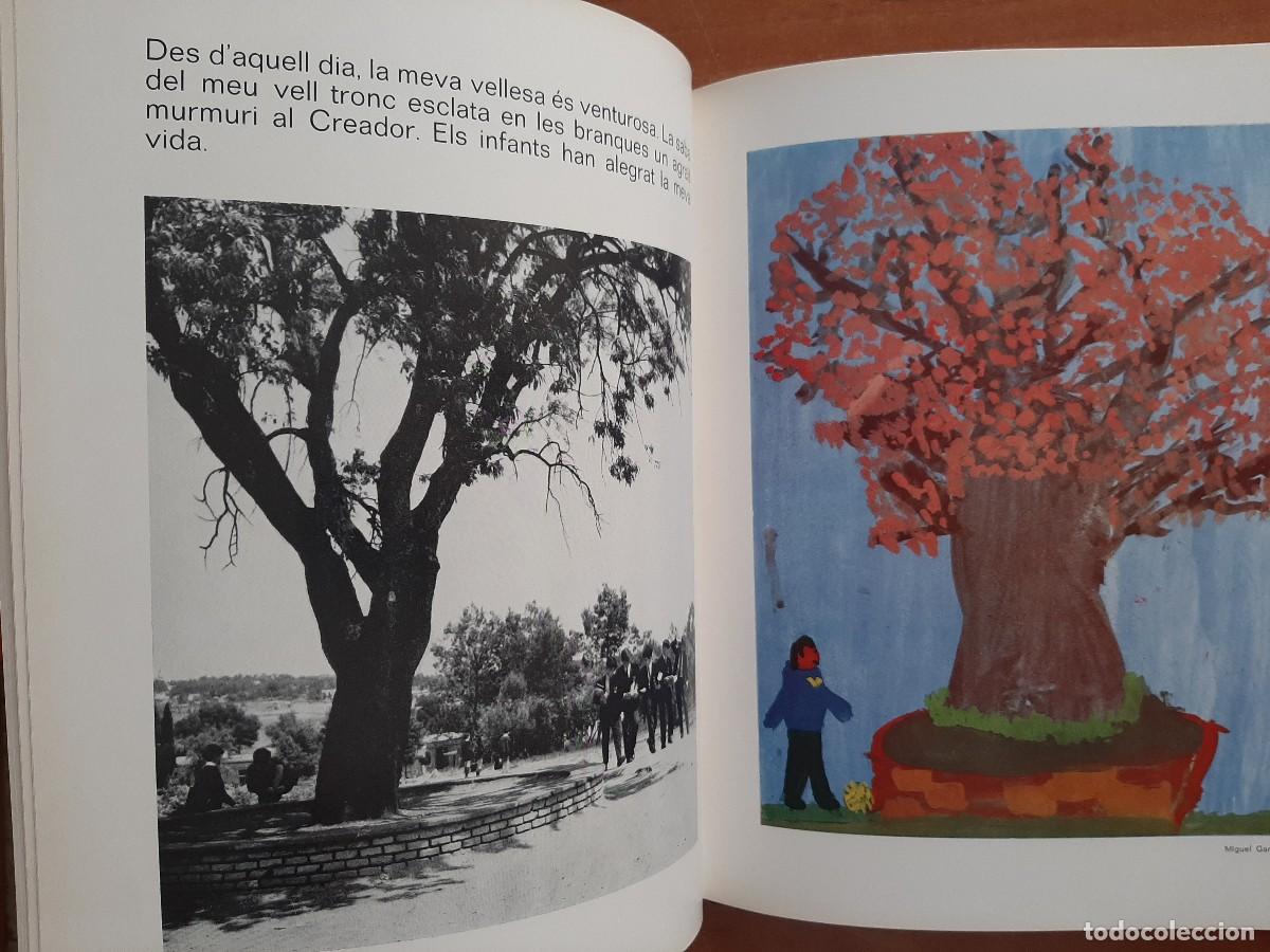 Libros de segunda mano: 1968 EL VELL AMETLLER - AA.VV. - ILUSTRADO CON CORAZ&Oacute;N - Foto 5