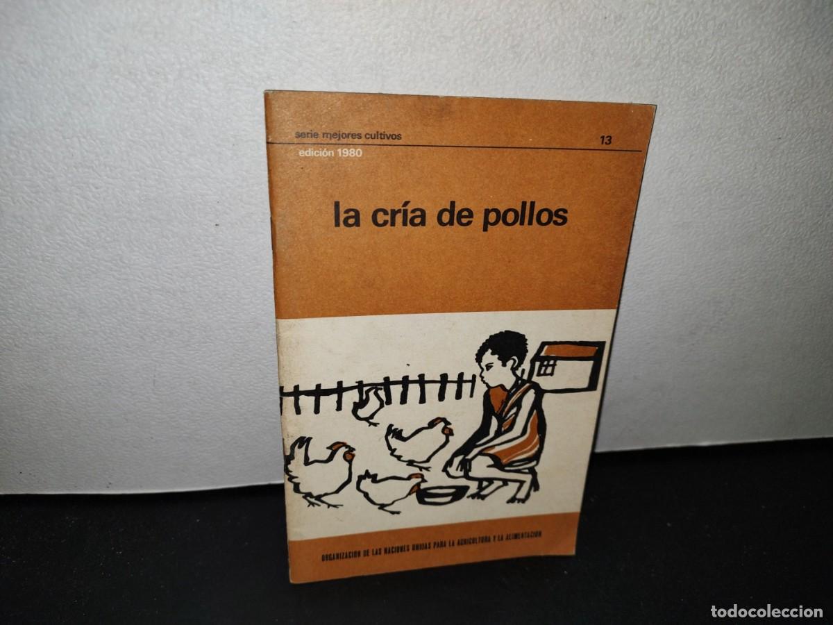 Libros de segunda mano: 41- LIBRETILLO. LA CR&Iacute;A DE POLLOS - 1980 - Foto 1