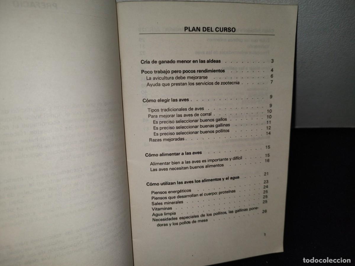 Libros de segunda mano: 41- LIBRETILLO. LA CR&Iacute;A DE POLLOS - 1980 - Foto 4