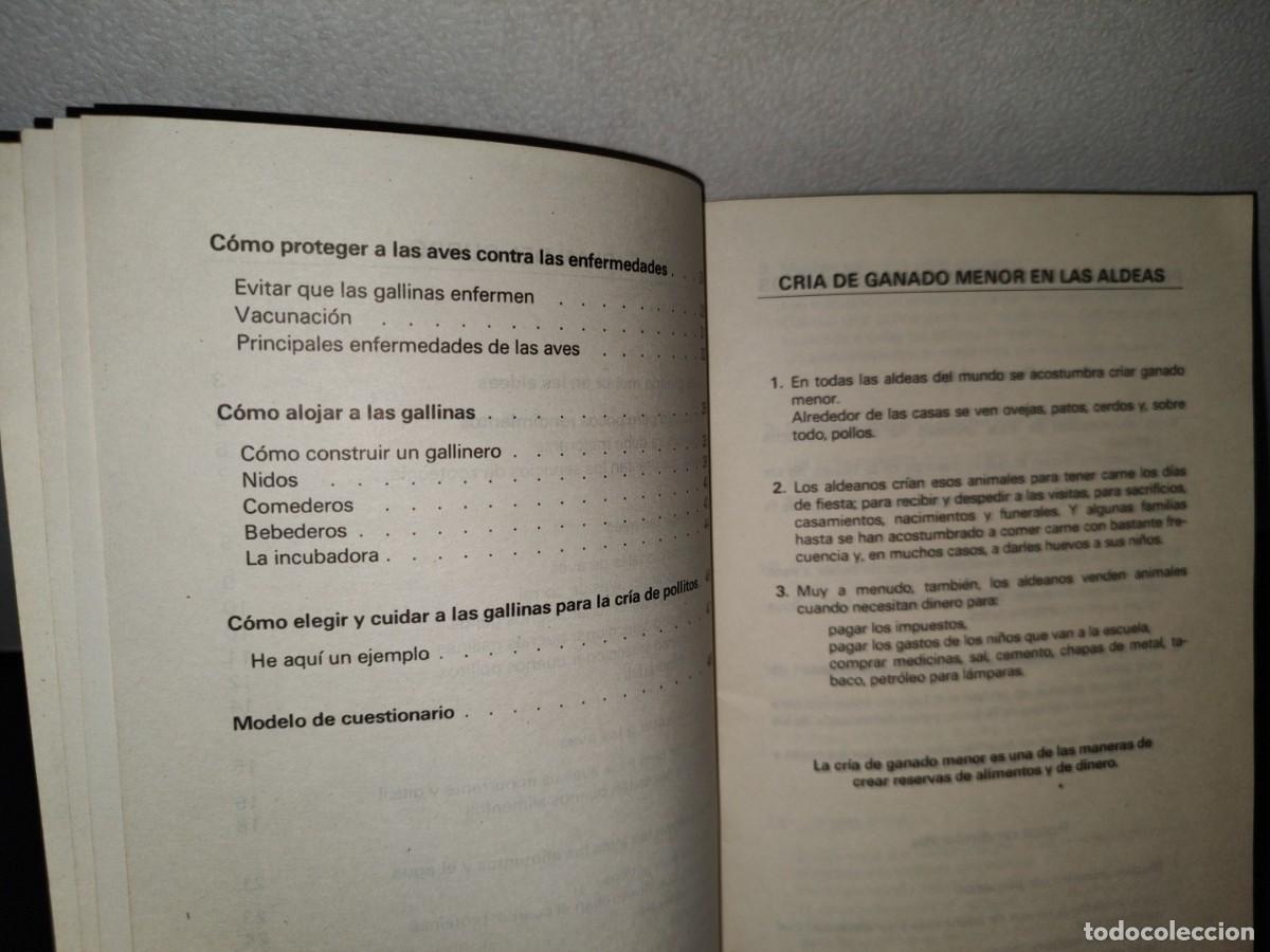 Libros de segunda mano: 41- LIBRETILLO. LA CR&Iacute;A DE POLLOS - 1980 - Foto 5