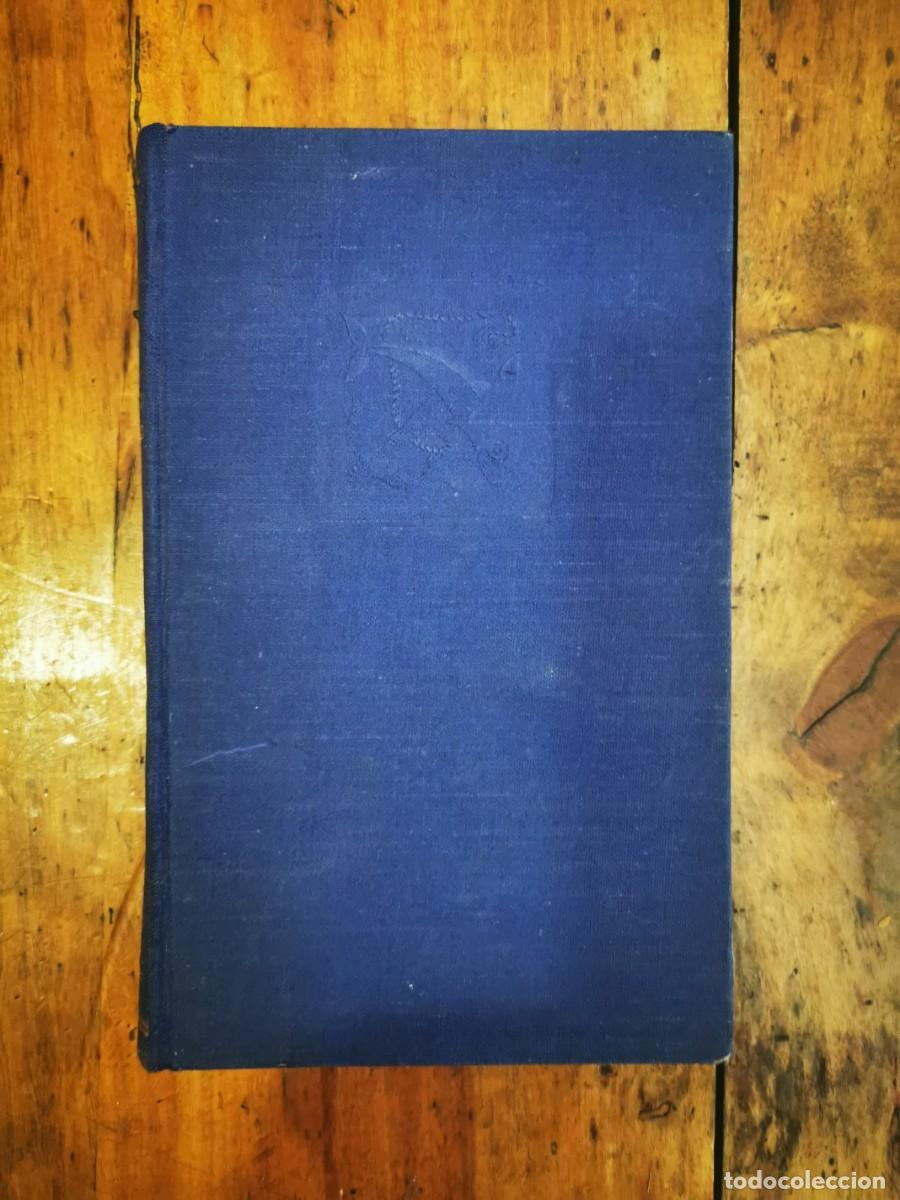 Libros de segunda mano: GIM&Eacute;NEZ-ARNAU, J.A. El canto del gallo - Foto 2