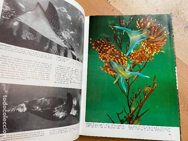 Libros de segunda mano: EL MUNDO EN QUE VIVIMOS, LIFE - Foto 3