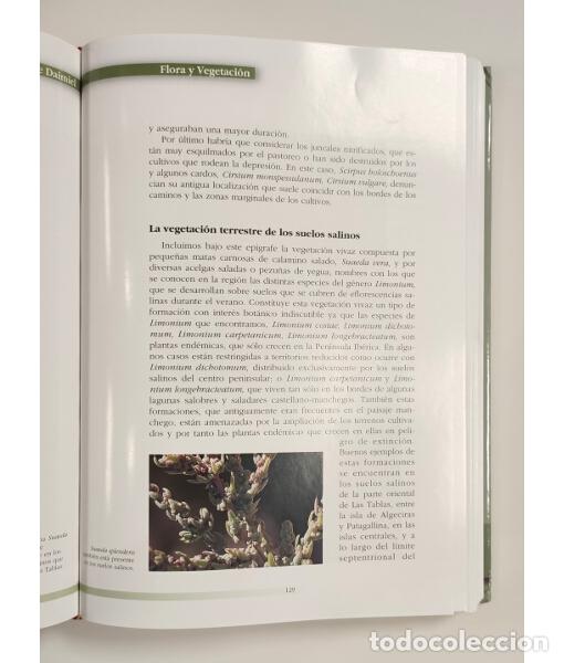 Libros de segunda mano: PARQUE NACIONAL DE LAS TABLAS DE DAIMIEL. VV.AA. Esfagnos. 1998. - Foto 3