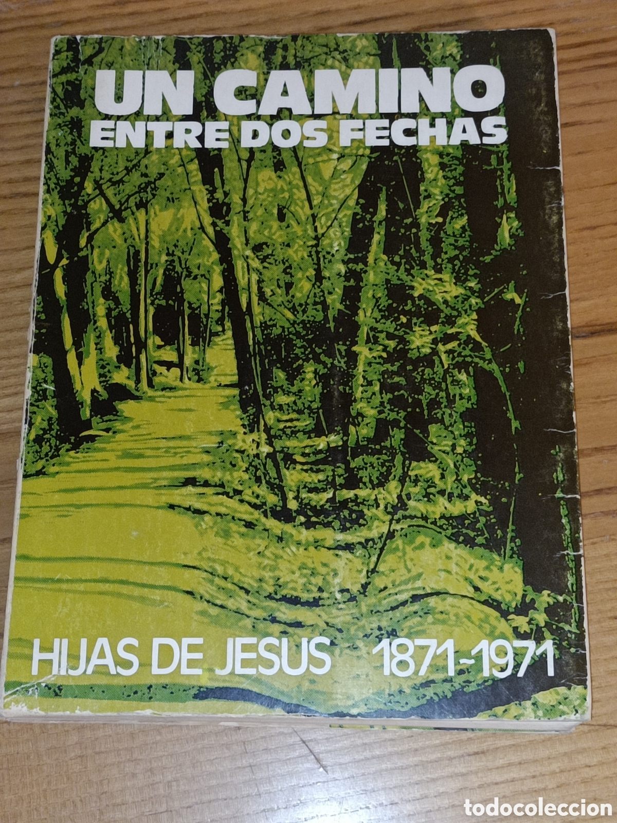 Libros de segunda mano: Un camino entre dos fechas. Hijas de Jesus. 1871-1971.