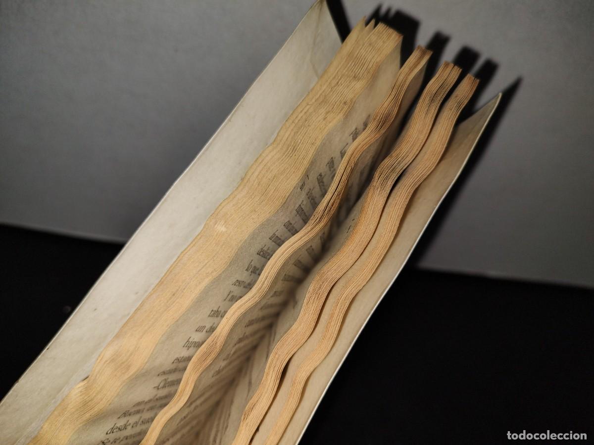Libros de segunda mano: 45- LA CARTA DE CLEMENTINA - SARA PENNYPACKER - Foto 8