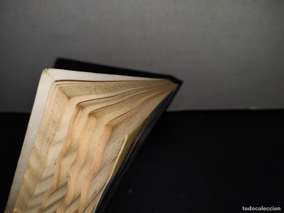 Libros de segunda mano: 45- LA CARTA DE CLEMENTINA - SARA PENNYPACKER - Foto 9