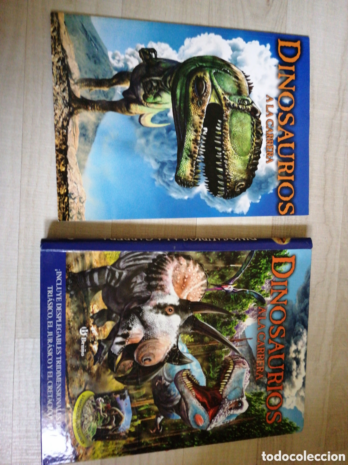 Libros de segunda mano: Dinosaurios a la carrera Ed. Bru&ntilde;o - Foto 5