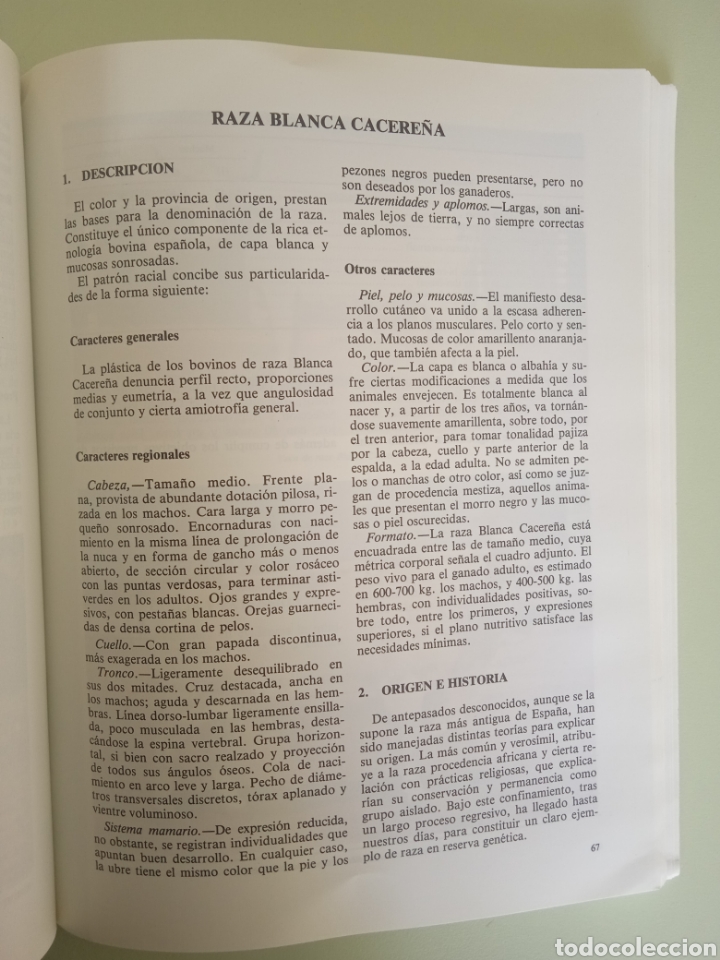 Libros de segunda mano: Cat&aacute;logo de razas aut&oacute;ctonas espa&ntilde;olas ll- Especie bovina. - Foto 10