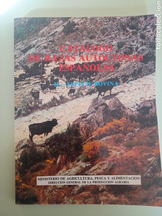Libros de segunda mano: Cat&aacute;logo de razas aut&oacute;ctonas espa&ntilde;olas ll- Especie bovina. - Foto 1