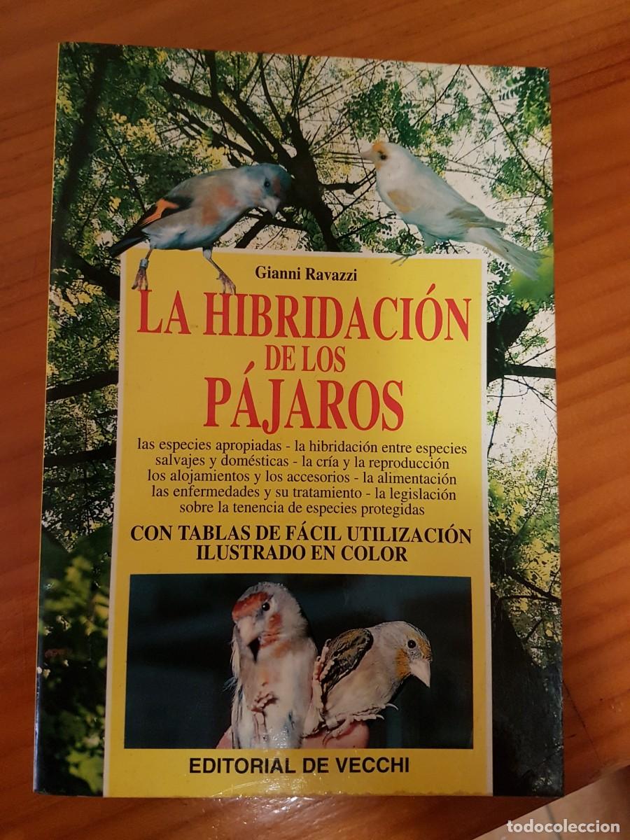 Libros de segunda mano: Libro La Hibridacion De Los Pajaros Gianni Ravazzi - De Vecchi ,A&ntilde;o1998 - Foto 1