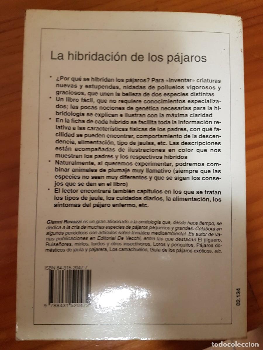 Libros de segunda mano: Libro La Hibridacion De Los Pajaros Gianni Ravazzi - De Vecchi ,A&ntilde;o1998 - Foto 2