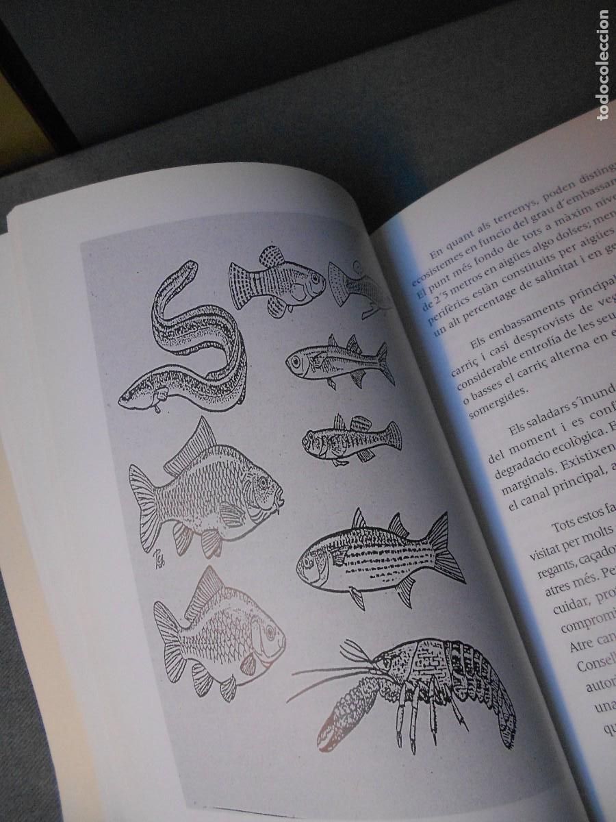 Libros de segunda mano: NUESTRAS TRADICIONES. TOMO V - Foto 7