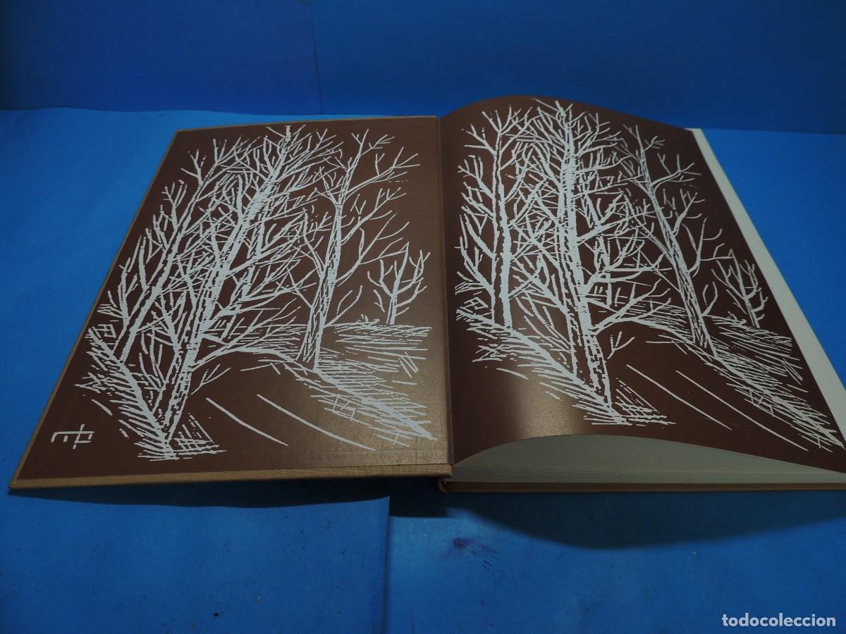 Libros de segunda mano: GEGANTS. APORTACI&Oacute; DE MATADEPERA AL NOSTRE FOLKLORE .- VV.AA. - Foto 3
