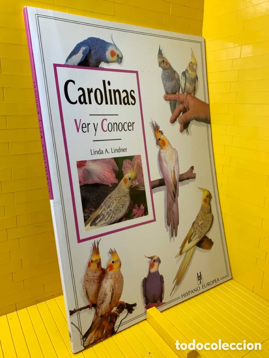 Libros de segunda mano: CAROLINAS VER Y CONOCER &middot;&middot;&middot; LINDA A. LINDNER - Foto 1