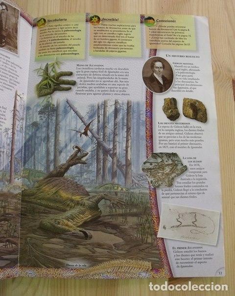 Libros de segunda mano: Libro Los Exploradores de National Geographic - Dinosaurios - RBA Molino - Foto 3