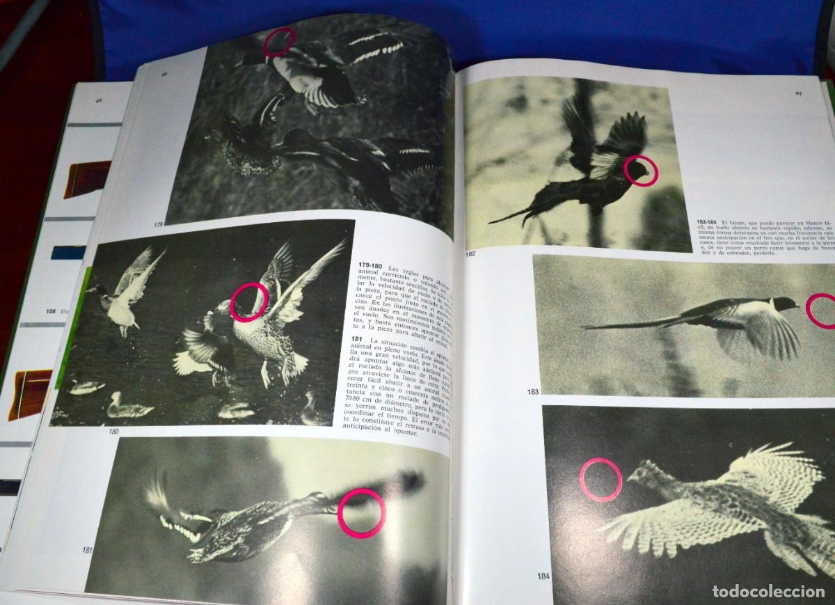 Libros de segunda mano: ARMAS de CAZA - Foto 6