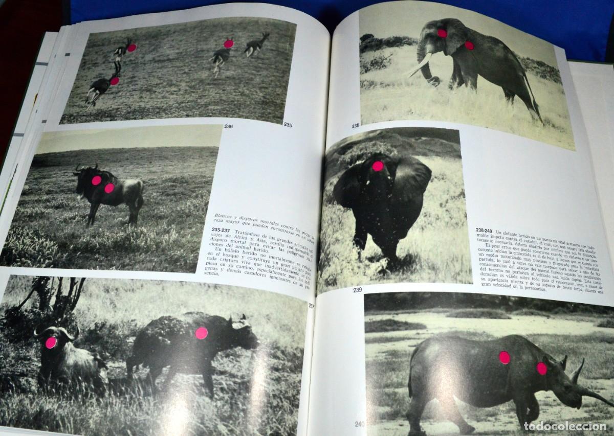 Libros de segunda mano: ARMAS de CAZA - Foto 7