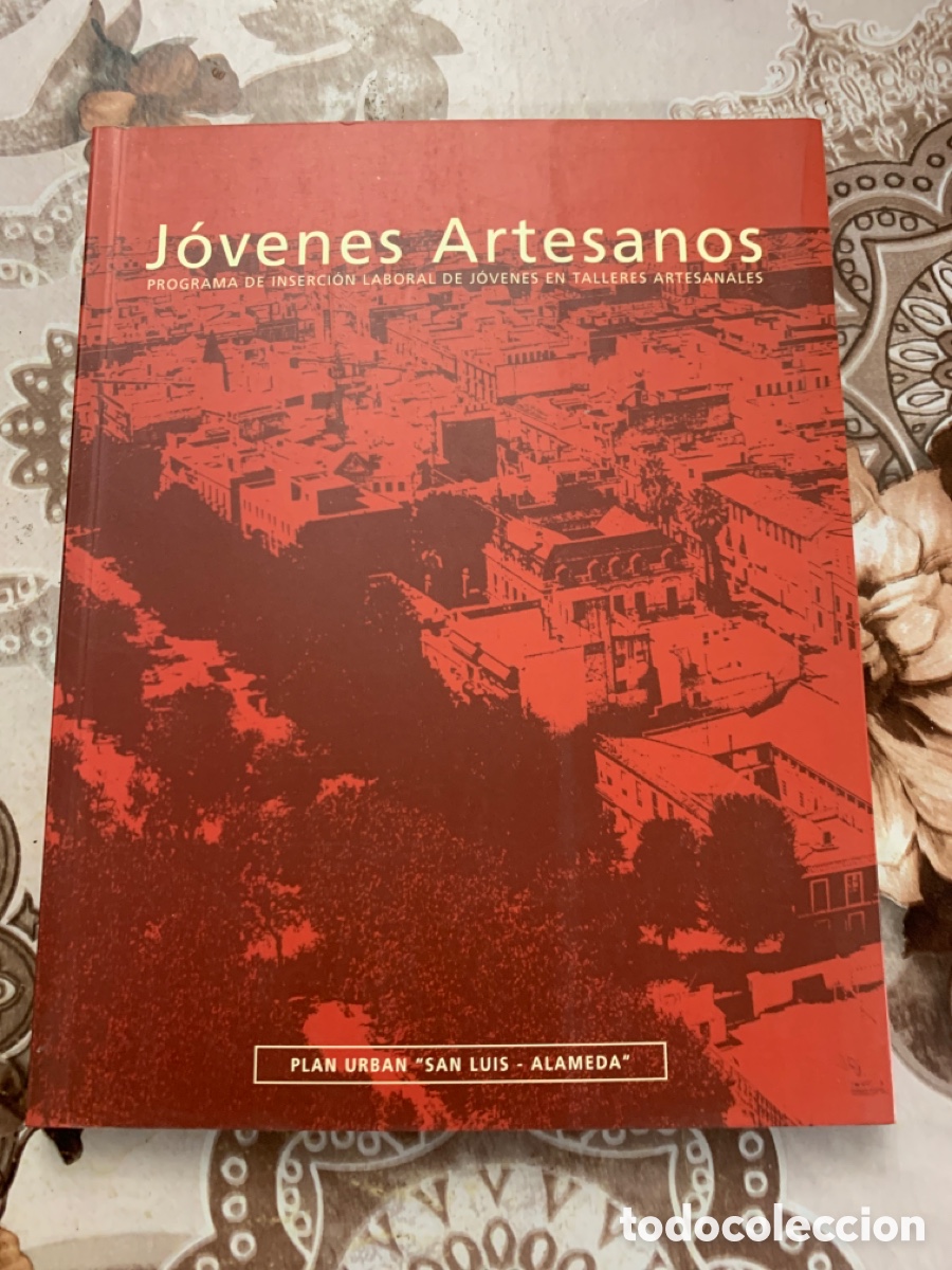 Libros de segunda mano: J&oacute;venes artesanos. Programa de inserci&oacute;n laboral de j&oacute;venes en talleres artesanales.