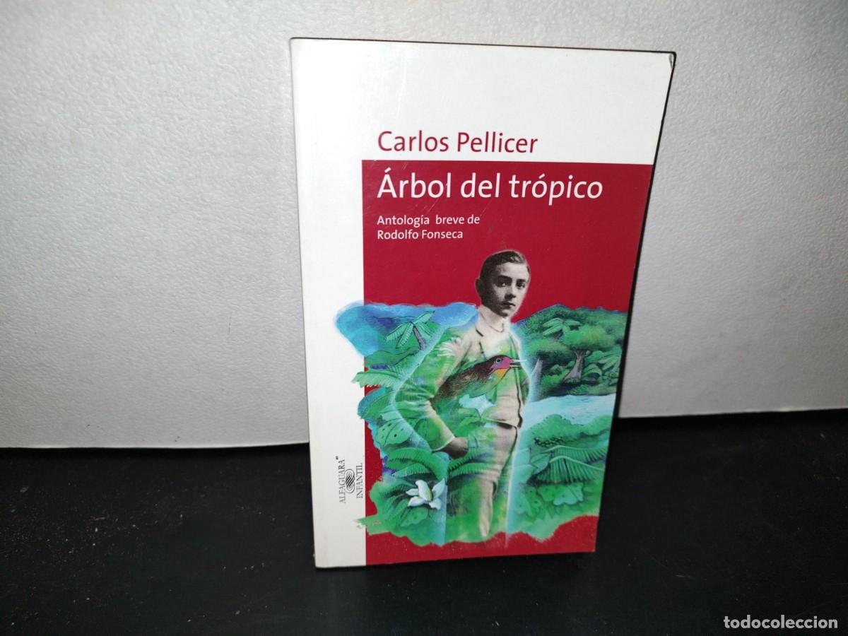Libros de segunda mano: 51- &Aacute;RBOL DEL TR&Oacute;PICO - CARLOS PELLICER - Foto 1