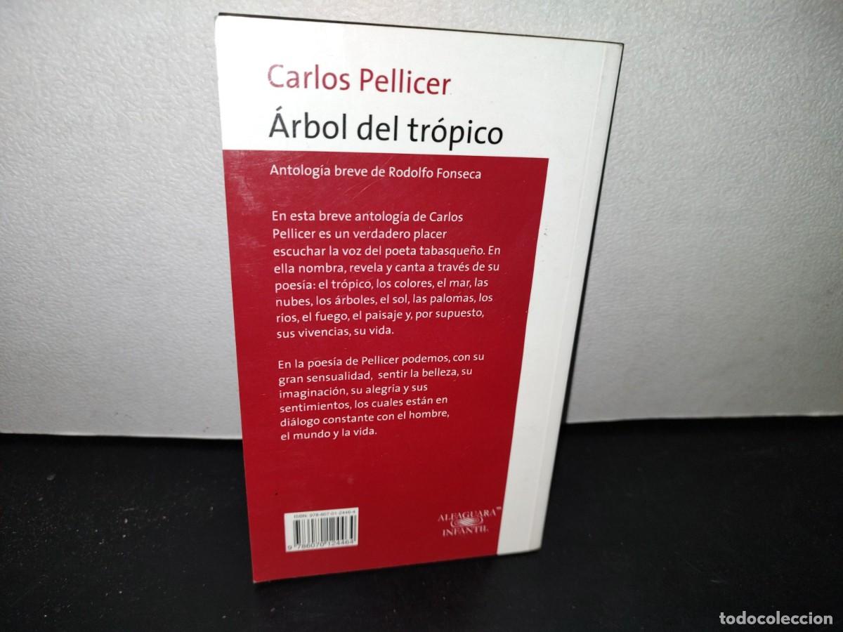Libros de segunda mano: 51- &Aacute;RBOL DEL TR&Oacute;PICO - CARLOS PELLICER - Foto 3
