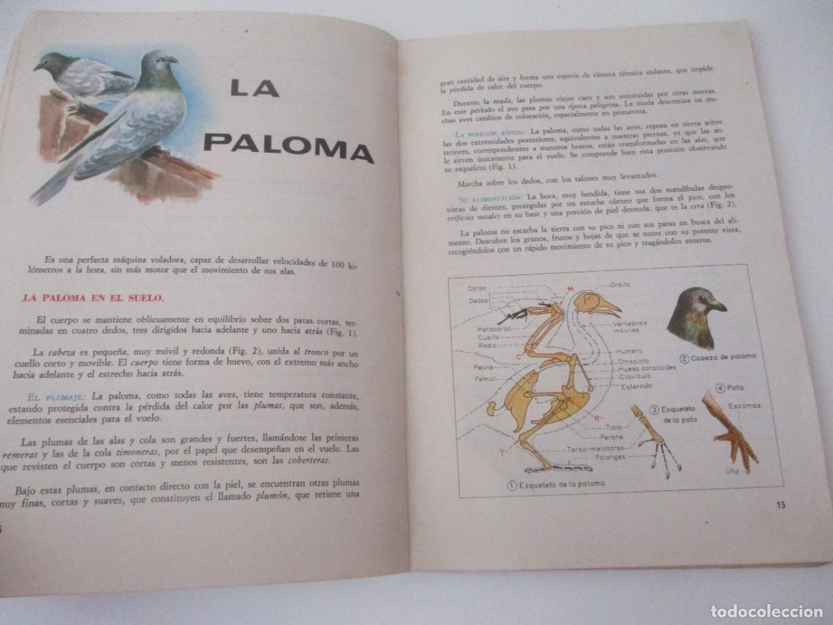 Libros de segunda mano: JOAQU&Iacute;N ROJAS El mundo de los animales W15906 - Foto 2