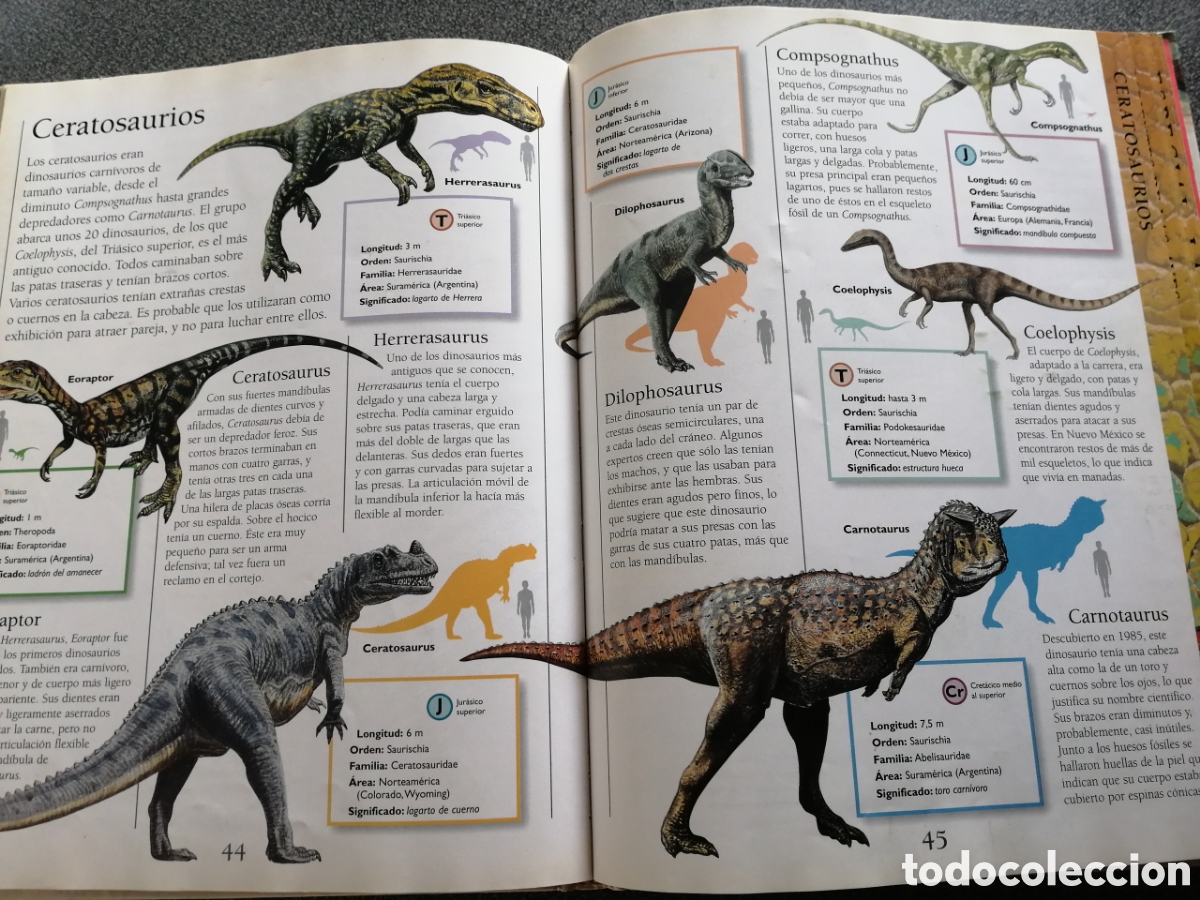 Libros de segunda mano: LA ENCICLOPEDIA DE LOS DINOSAURIOS - Foto 2