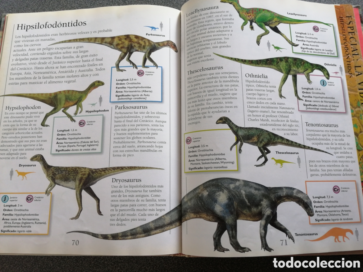 Libros de segunda mano: LA ENCICLOPEDIA DE LOS DINOSAURIOS - Foto 3